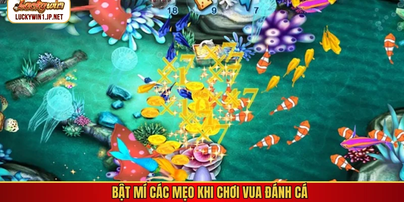 Bật mí các mẹo khi chơi vua đánh cá Bật mí các mẹo khi chơi vua đánh cá